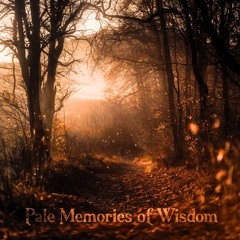 Pale Memories Of Wisdom