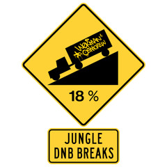electronic jungle dnb breaks