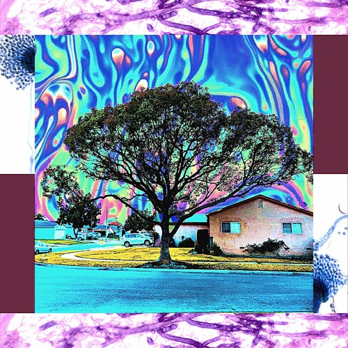 prfct (prod. bobby oddsock)