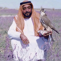حسين الجسمي - طيرٍ من طيور المعازيب