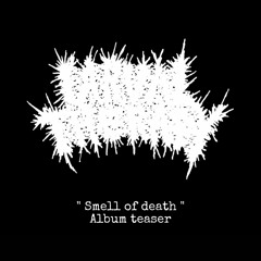 SMELL OF DEATH (ALBUM TEASER)