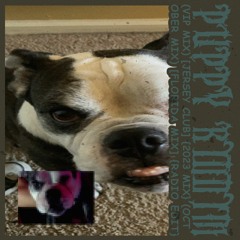 PUPPY RIDDIM [VIP MIX][JERSEY CLUB 2023 MIX][OCTOBER MIX][FLORIDA MIX][RADIO EDIT]