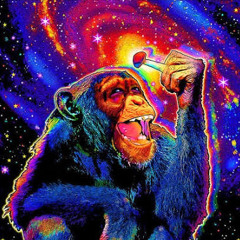 rockstar living ft RBK Mari