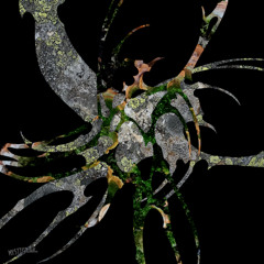 Premiere: Lostlojic - Atomic Naїvity