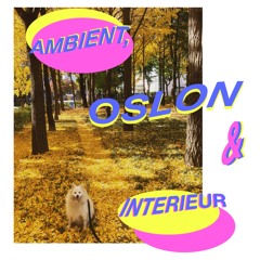 Ambient & Interieur 44 [Oslon]