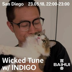 Wicked Tune w/ indigo