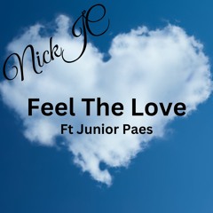 NickJC Feel The Love Ft Junior Paes