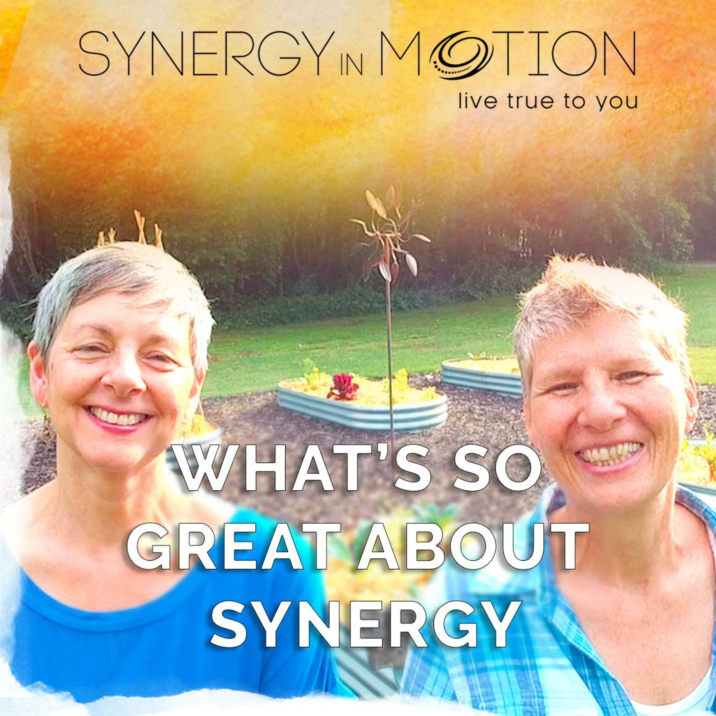 What's So Great About Synergy - Hexagram 45 episode artwork