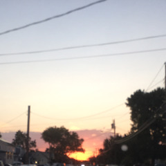 forest sounds (loop instrumental)