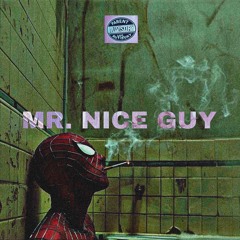 MR. NICE GUY