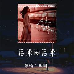 田园 - 后来的后来「后来的我们没有结果」【動態歌詞/pīn yīn gē cí】