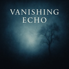 Vanishing Echo
