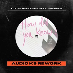 How Did You Know 2025 (Audio K9 Rework)