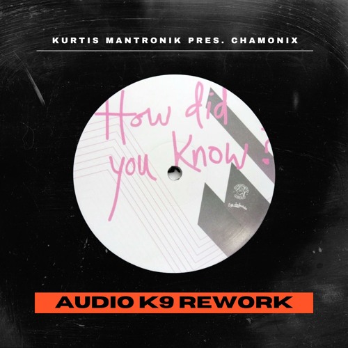 How Did You Know 2025 (Audio K9 Rework)