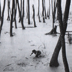 before i go to sleep