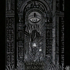 5. Varia - Tripple Helix (200 BPM) - LP Asphodel Meadows - Metacortex Records