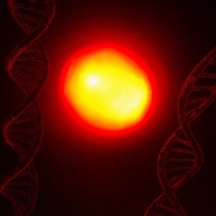 R3D LIGHT Prod.[ Shango ]