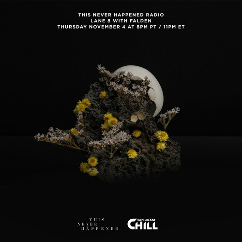 TNH Radio on SiriusXM Chill - Falden (Guest Mix)