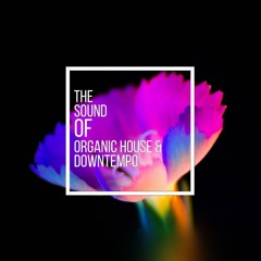 The Sound Of Organic House & Downtempo Vol.8 Mixed by Kurt Kjergaard