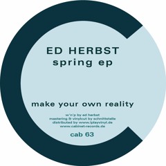 MAKE YOUR OWN REALITY by ed herbst
