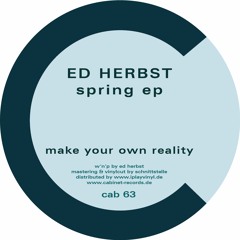 MAKE YOUR OWN REALITY by ed herbst