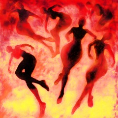 BOX CAR - a sudar, perros