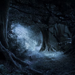 DarkForest