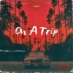 Casey - On A Trip