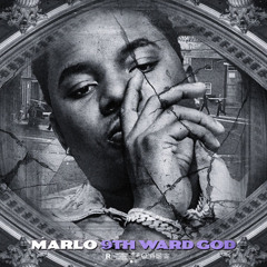 Pigeon Flippin (feat. Lucky)