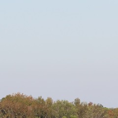 When you just want to float