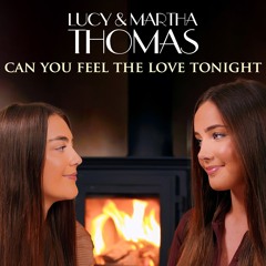 Can You Feel The Love Tonight