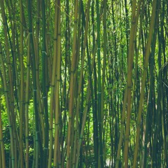 Invisible Threads of Thought