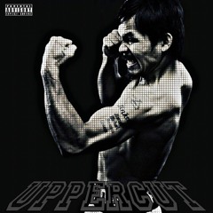 UPPERCUT ( JAVID )
