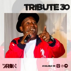 Tribute 30 - Ronnie McIntosh