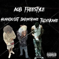 AOB FREESTYLE - buddahnskane x hunndo5st x tgcnskane