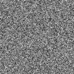 White Noise