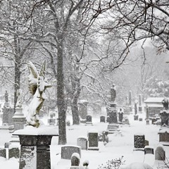 Snowglobe Cemetery