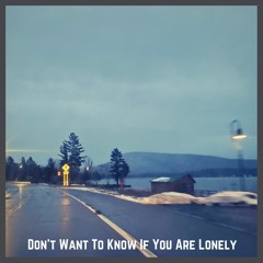 Dont Want To Know If You Are Lonely