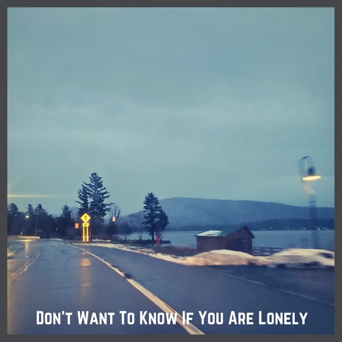 Dont Want To Know If You Are Lonely