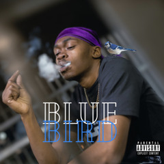 BLUEBIRD (Prod. By ODDstatus)