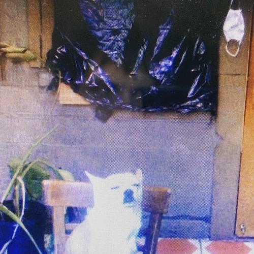 Cube @ The Lot Radio 04 - 27 - 2020