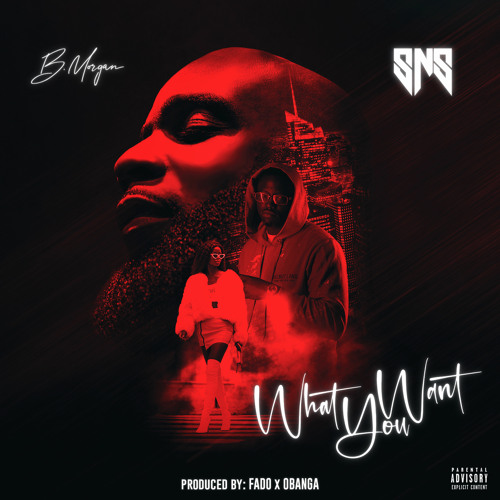 What You Want ft SNS