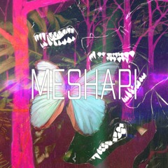 MESHAPI - NANOHONKY