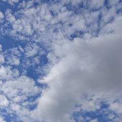 (23*09*2025 Mcl)