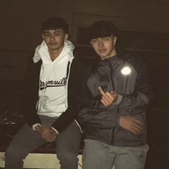 alpha twins
