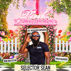 Pink Lemonade Promo Mix 2025 by Selector Sean *explicit*