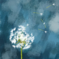 Oo.. Ya... (Accoustic vers.)