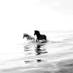 white horse prod kenzee