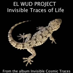 Invisible traces of life