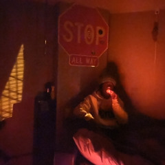 The RainForest prod.jossart